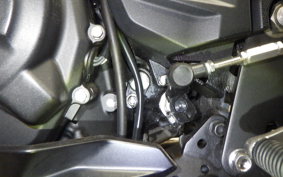 KAWASAKI NINJA 250 2023 EX250P