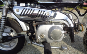 YAMAHA AKUSHI STREET SE53J