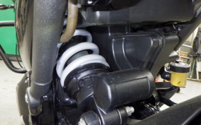 TRIUMPH SPEED 400 2024