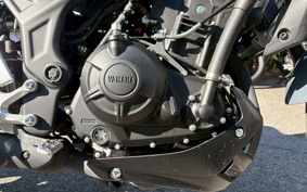 YAMAHA MT-25 RG74J