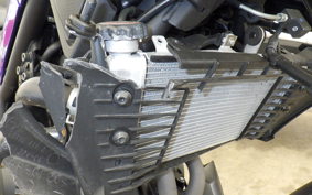YAMAHA MT-25 A RG74J