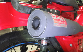 HONDA CT125 HUNTER CUB 2025