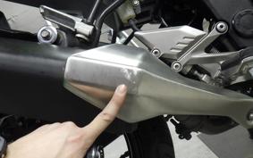 KAWASAKI NINJA 250 SL BX250A