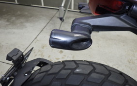 DUCATI SCRAMBLER 2024