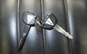 KAWASAKI W800 2024 EJ800E