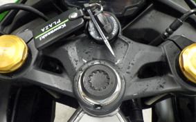 KAWASAKI ZX-4RR 2024 ZX400P