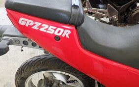 KAWASAKI GPZ250 R EX250E