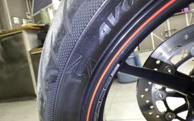 OTHER +ｳﾞｨｸﾄﾘｰﾊﾏｰ SPORTS 2013