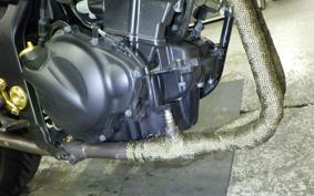 KAWASAKI NINJA 250R 2021 EX250K