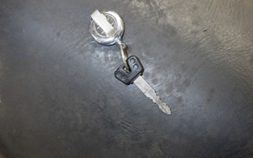 YAMAHA DRAGSTAR 250 2018 VG02J