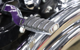HARLEY FXDL 2001 GDV