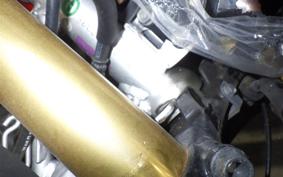 HONDA CBR250RR A 2025 MC51