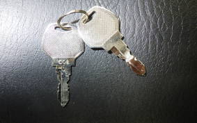 OTHER +UNREGISTERED MODEL by BDS883 2026