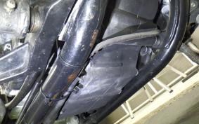 HARLEY FLSTC 1450 1999