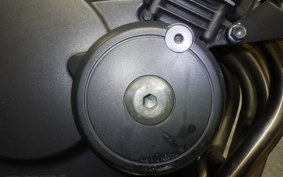 HONDA HORNET 250 2010 MC31