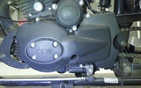 OTHER +UNREGISTERED MODEL by BDS250