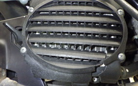 HONDA ZOOMER 2010 AF58