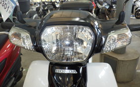 HONDA C110 SUPER CUB 2009 JA10