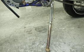 YAMAHA WR250F 2024 CG11W