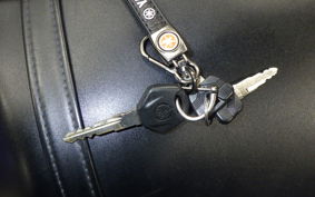 YAMAHA YZF-R25 2010 RG43J