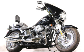 HARLEY FLSTF 2011 BX5