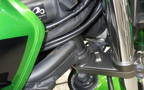 KAWASAKI ZRX1200 D 2013 ZRT20D
