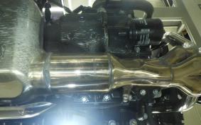 KAWASAKI Z900RS 2024 ZR900K