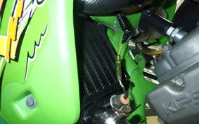 KAWASAKI KDX125 SR DX125A