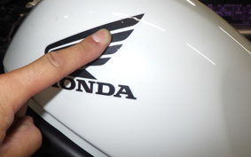 HONDA REBEL 250 A MC49