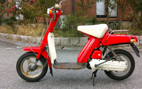 YAMAHA PASSOL 2E9