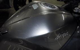 KAWASAKI NINJA 250 ABS 2024 EX250L
