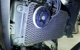 SUZUKI Vｽﾄﾛｰﾑ250A 1996