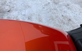 HARLEY X500 2024 W5B