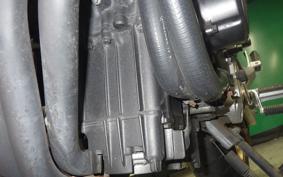 HONDA HORNET 250 2023 MC31