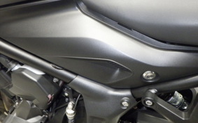 TRIUMPH TRIDENT 660 2024