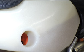 KTM 250 EXC F SIXDAYS