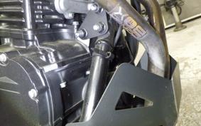 SUZUKI Vｽﾄﾛｰﾑ250 2020
