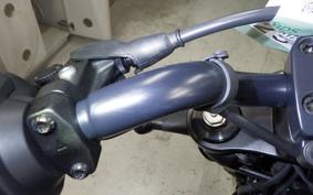 HARLEY RH1250S 2025