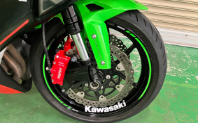 KAWASAKI NINJA ZX-6R 2019 ZX636G