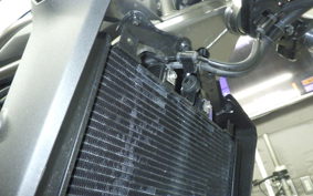 KAWASAKI ELIMINATOR400-3 2025 EL400A