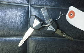 KAWASAKI W230 2025 BJ230A