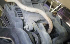 HONDA PCX125 2005 JF56