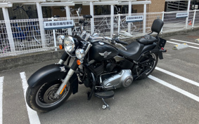 HARLEY  HARLEY FLSTFB 2010 JN5