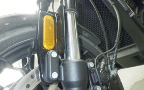 HARLEY XG750 STREET ROD 2021