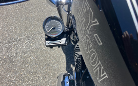 HARLEY XL1200C 2011 CT3