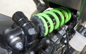 KAWASAKI ZX-4RR 2024 ZX400P