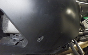 KAWASAKI ZX 1400 NINJA R A 2019