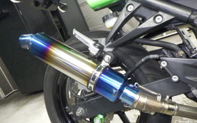 KAWASAKI NINJA 250R EX250K