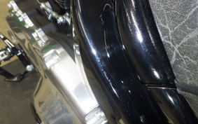HARLEY FXBB1920 2025