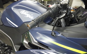 KAWASAKI NINJA 400 2021 EX400G
